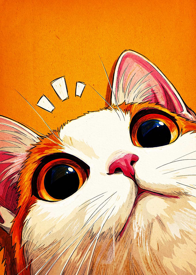 Surprised Orange and White Cat