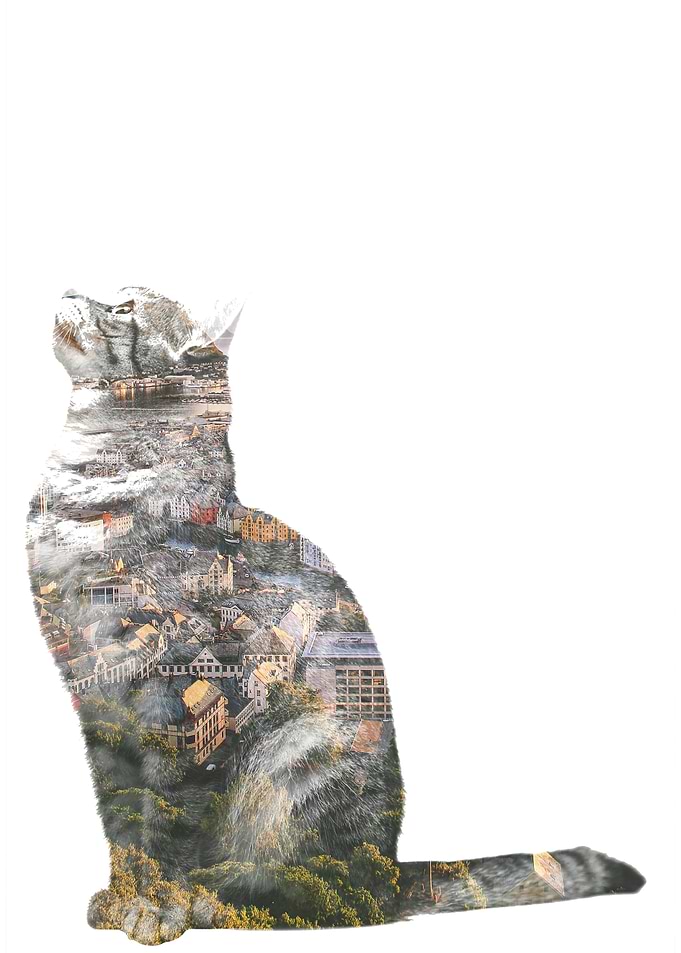 Double Exposure Cat Cityscape artistic