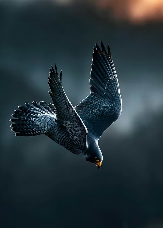 Peregrine Falcon in High-Speed Dive