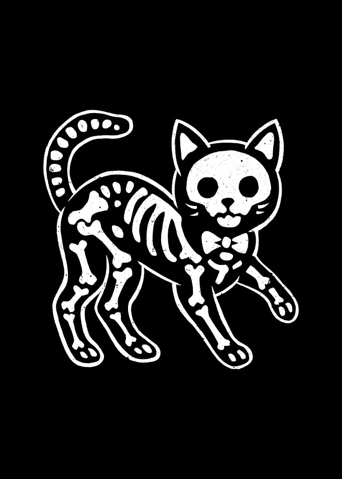 Skeleton Cat with Bow Tie