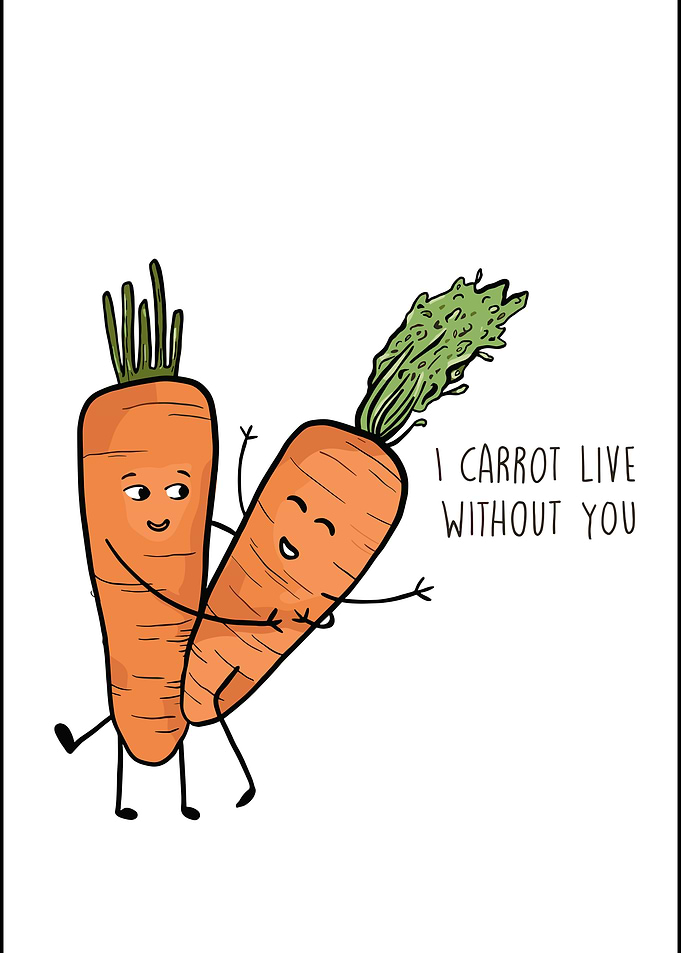 Cute Carrot Couple Pun Illustration