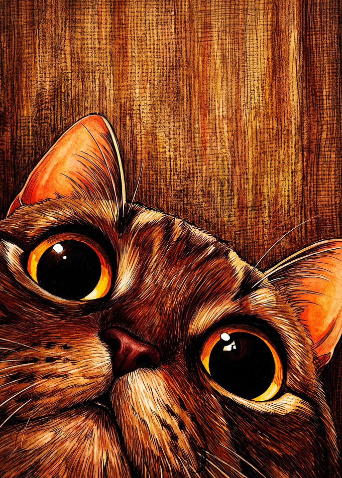 Close-up Portrait of a Curious Cat