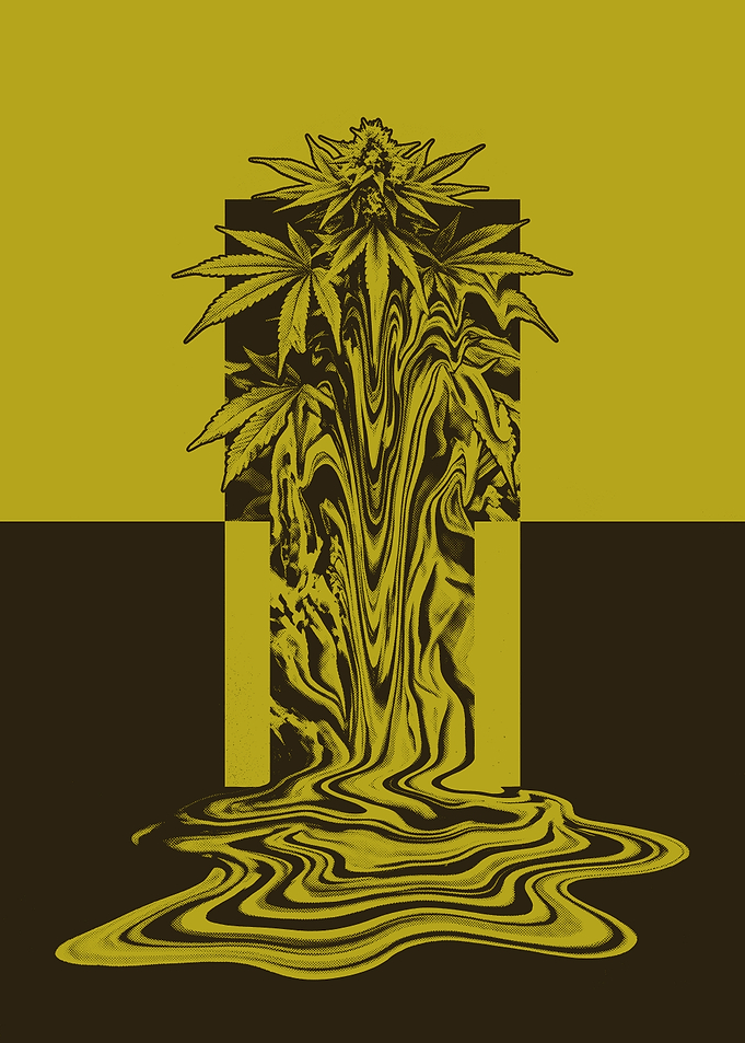Melting Cannabis Plant Abstract Art