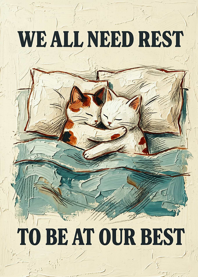 Sleeping Cats Motivation Cats Oil Painting Style