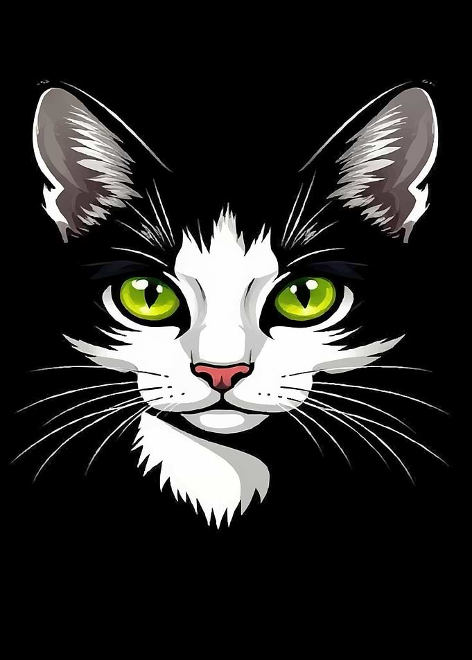 Black and White Cat Portrait