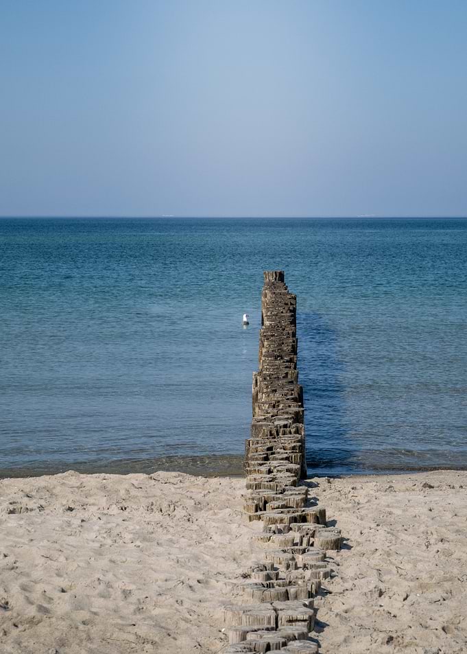 Wooden Groyne on Sandy Beach
