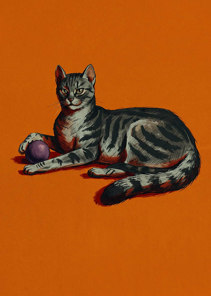 Tabby Cat With Ball Cats Pencil Sketch