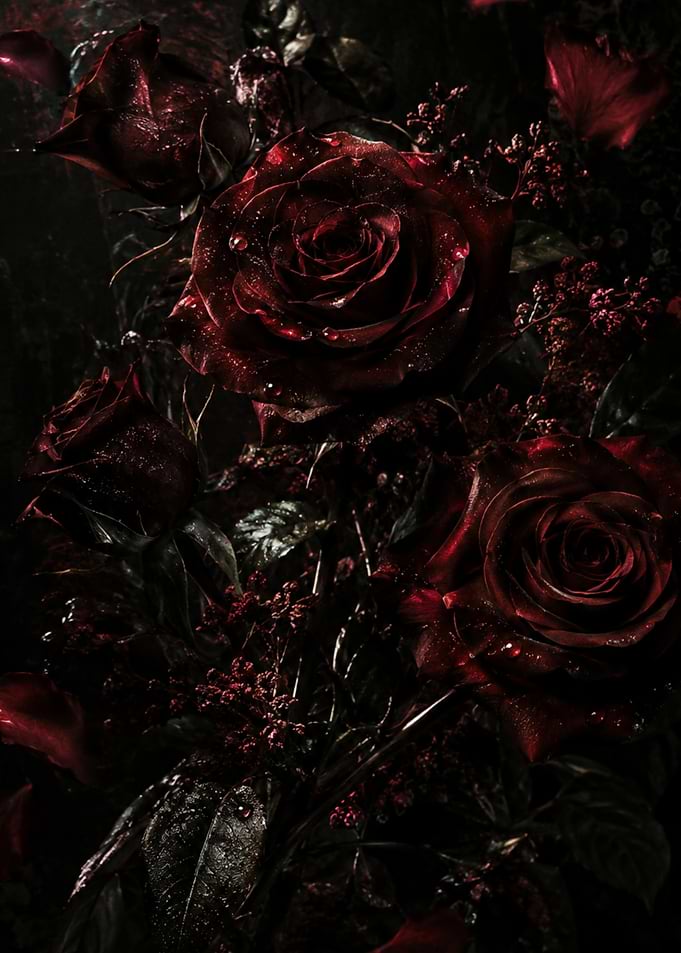 Dark Moody Deep Red Roses