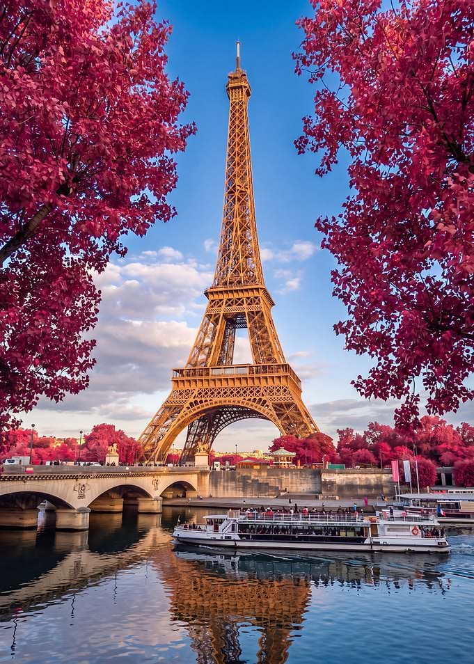 Eiffel Tower with Vibrant Pink Trees