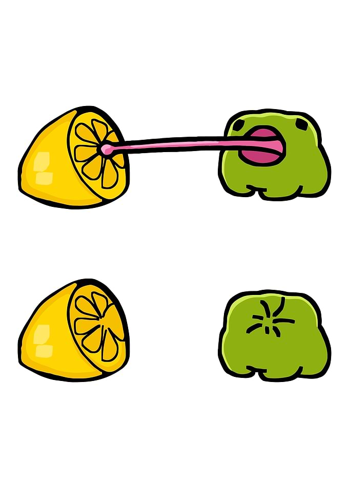 Frog Licking a Lemon Cartoon