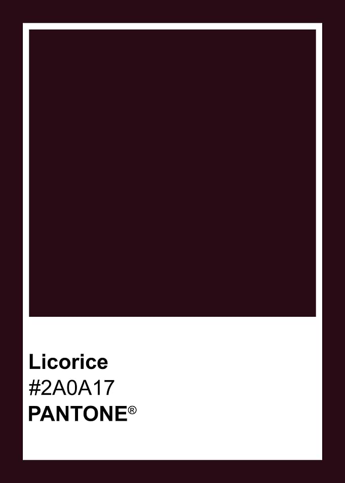 Pantone Licorice Color Swatch