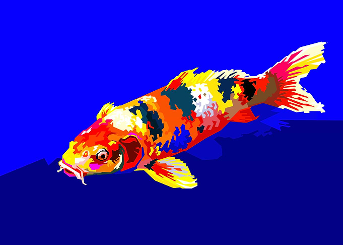 Colorful Pop Art Koi Fish