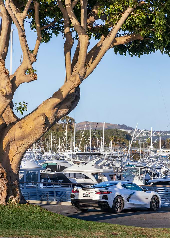 White Corvette at the Marina