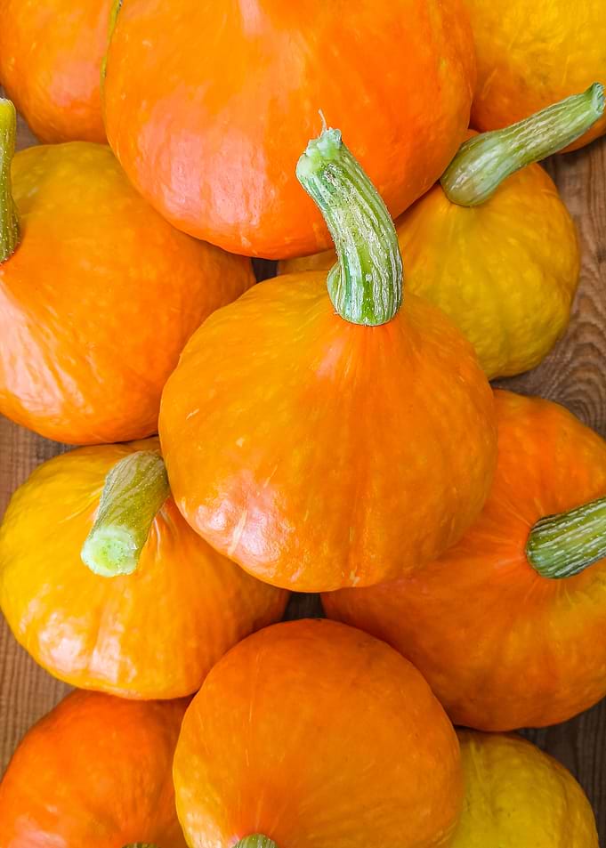 Fresh Orange Autumn Pumpkins on Wood