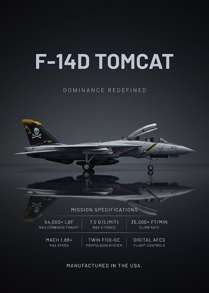 sleek side view F-14D Tomcat Military Aircraft Poster