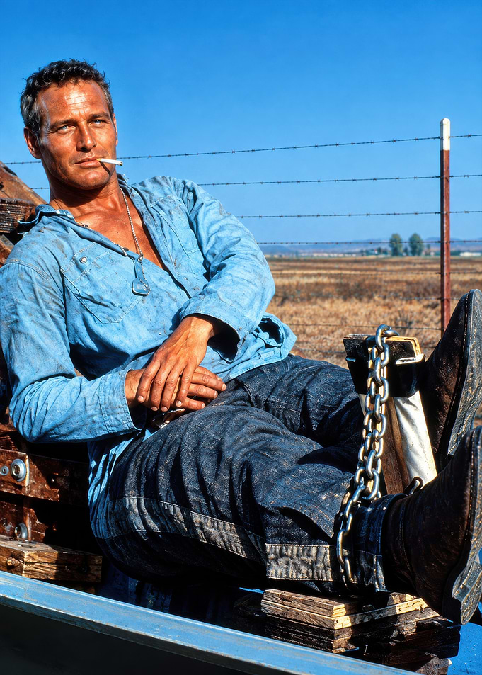 Paul Newman in Cool Hand Luke