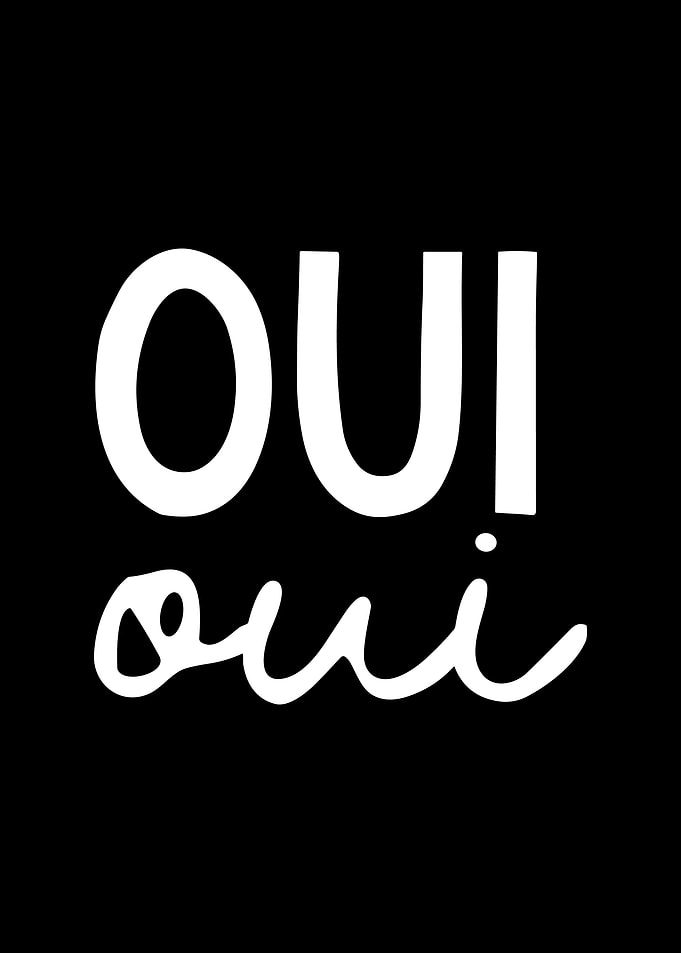 Oui Oui French Typography Art