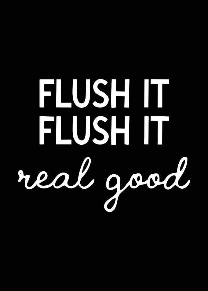 Flush It Real Good Bathroom Sign