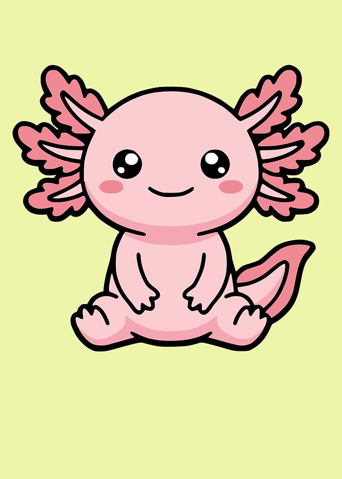 Cute Kawaii Pink Axolotl Illustration