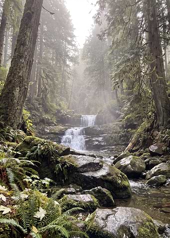 Misty Forest Waterfall Scene