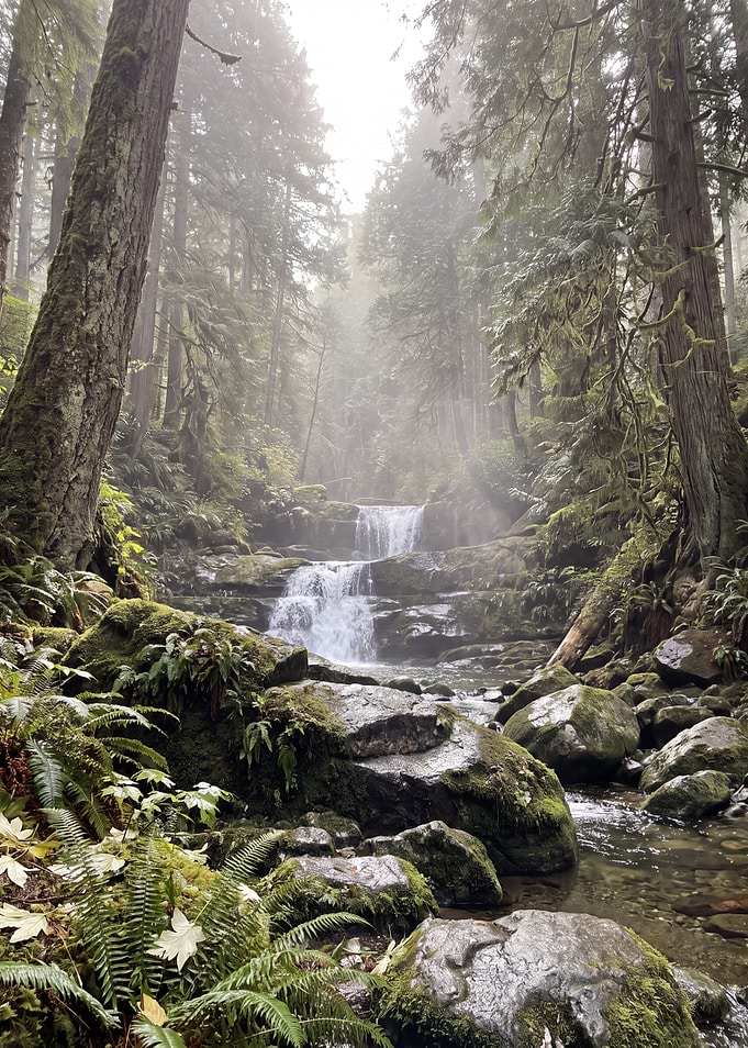 Misty Forest Waterfall Scene