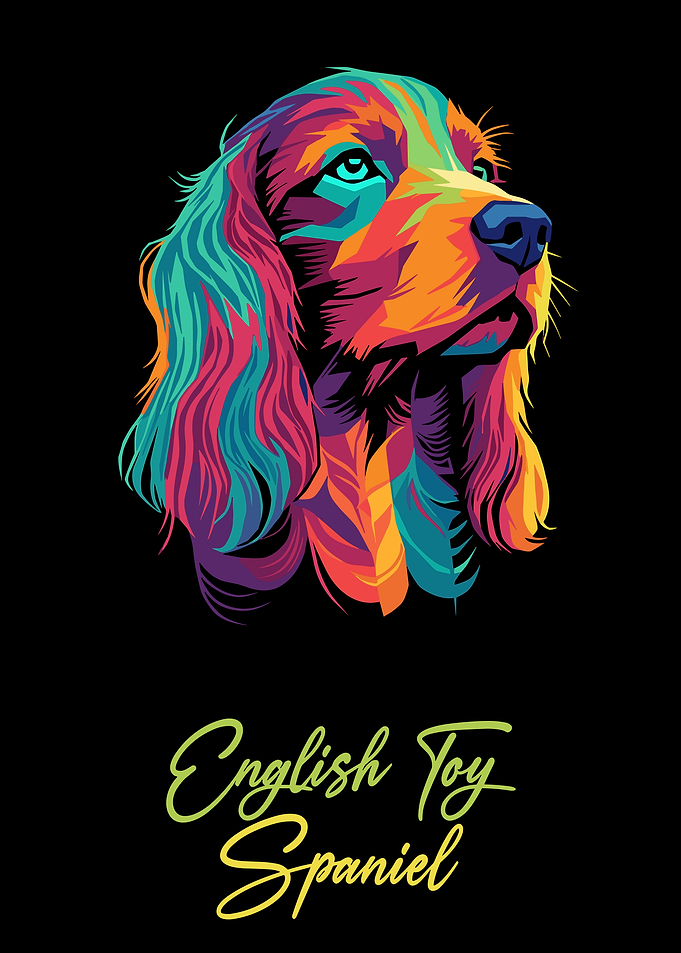 Colorful English Toy Spaniel Portrait