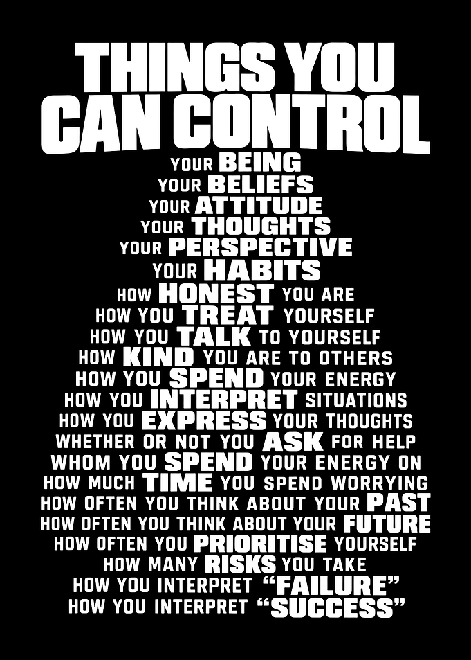 Things You Can Control Inspirational Poster