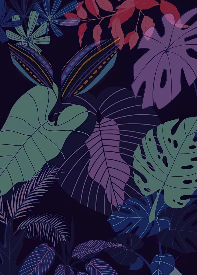Tropical Jungle Leaf Pattern Illustration