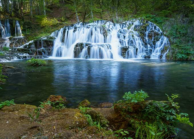 Lush Forest Waterfall Landscape