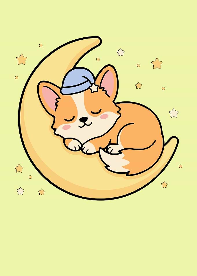 Cute Corgi Sleeping on Moon