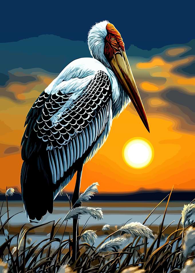 Painted Stork at Sunset