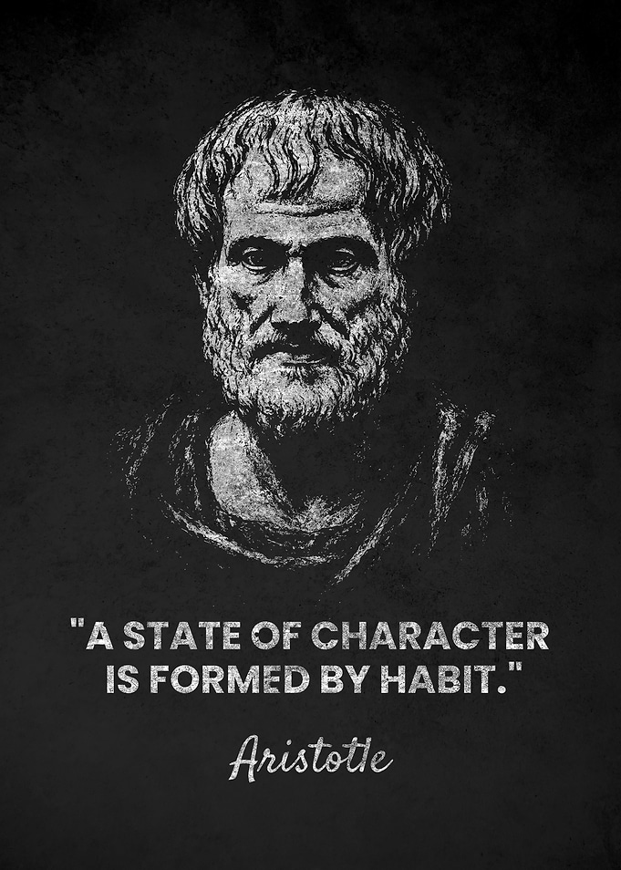 Aristotle Habit Quote Inspirational Wall Art
