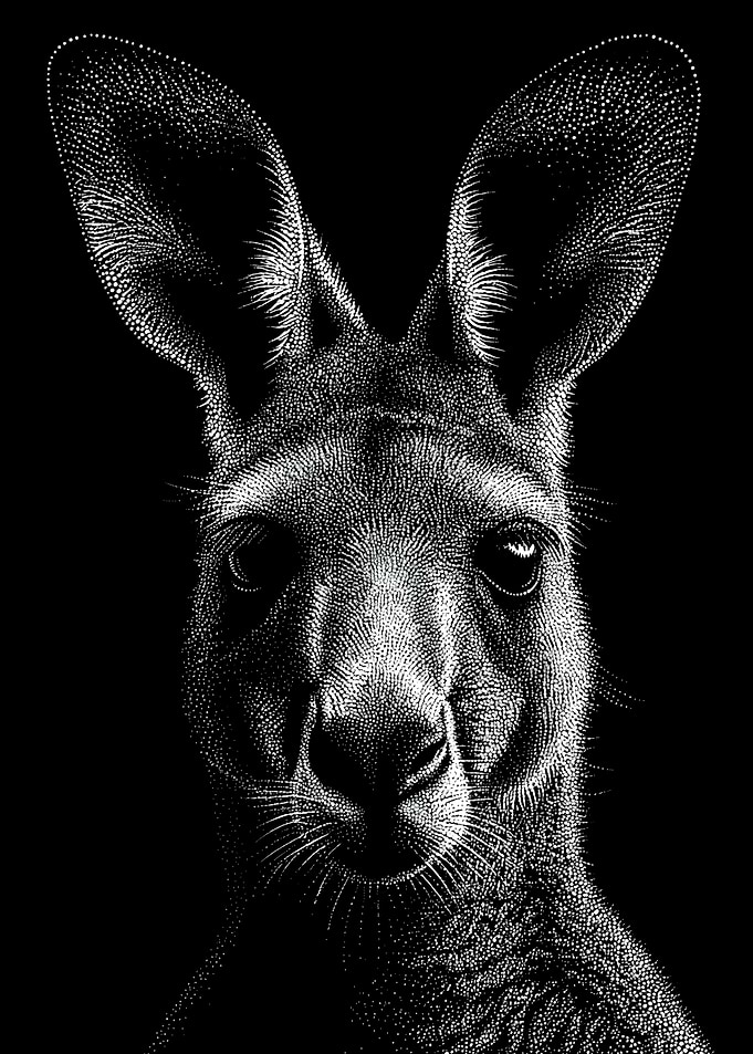 Striking Monochrome Kangaroo Portrait In Stipple Dotwork