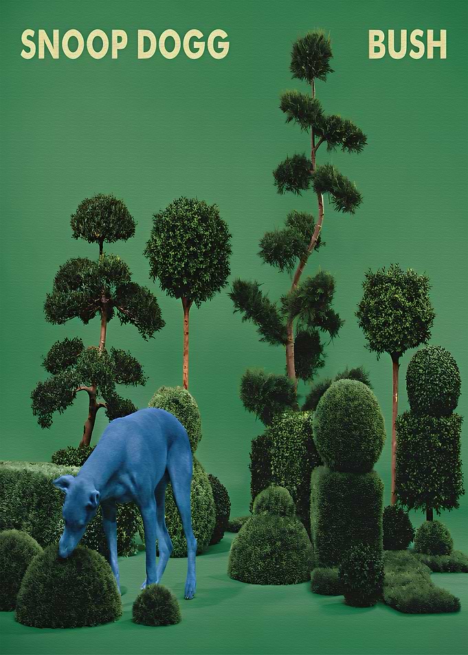 Snoop Dogg Bush Album Cover