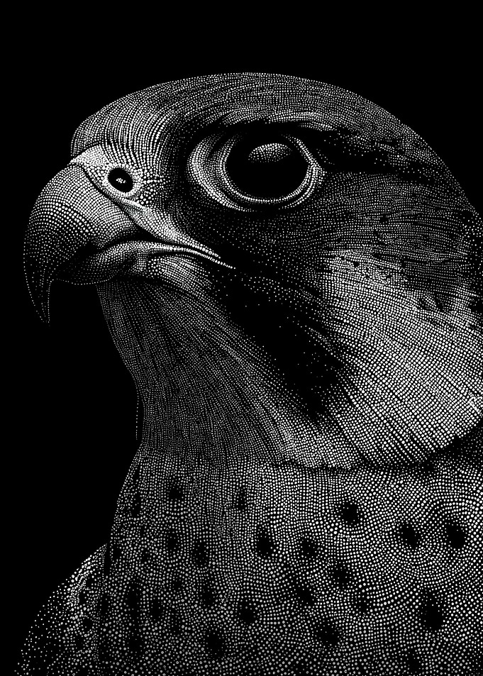 Striking Monochrome Falcon Profile In Stipple Dotwork
