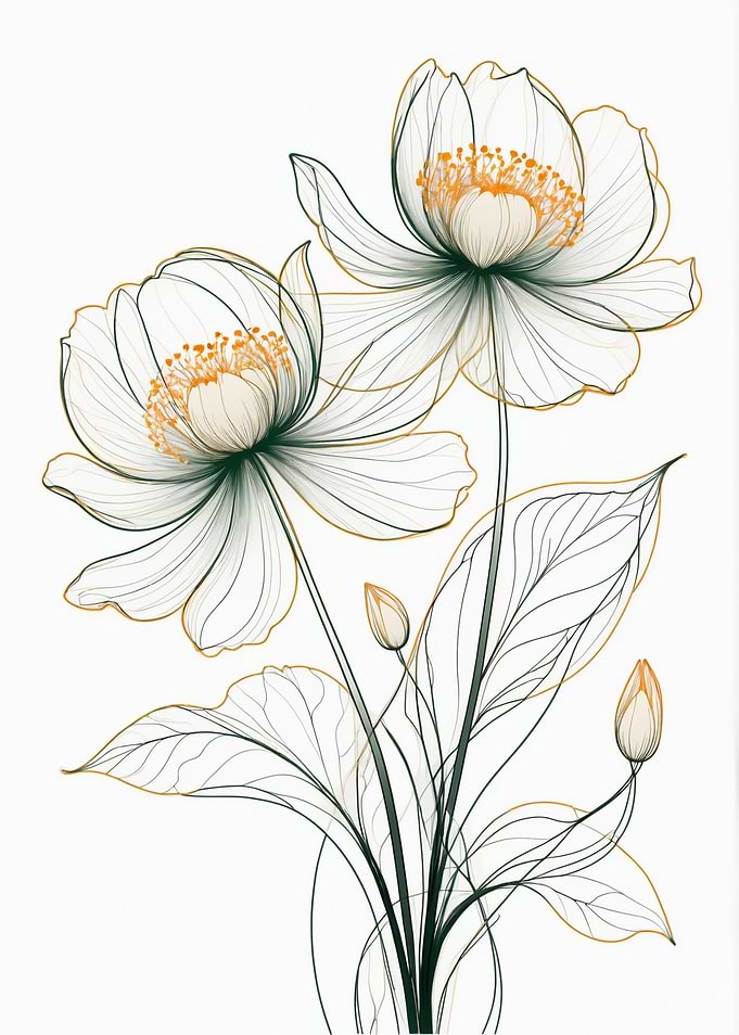 Elegant Line Art Floral Illustration