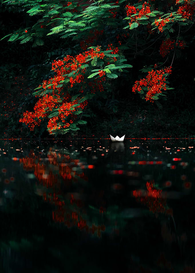 Paper Boat Under Flowering Tree
