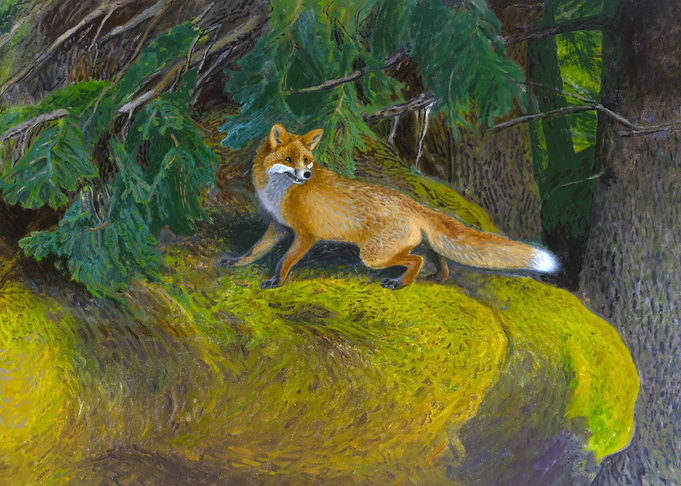 Fox in the Woods Painting by Bruno Liljefors