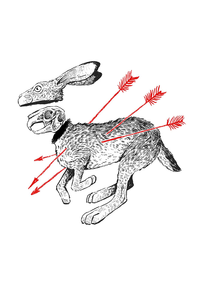 Surreal Hare Illustration with Arrows