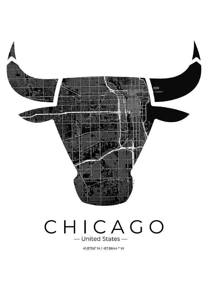 Chicago Bulls Map Art Print