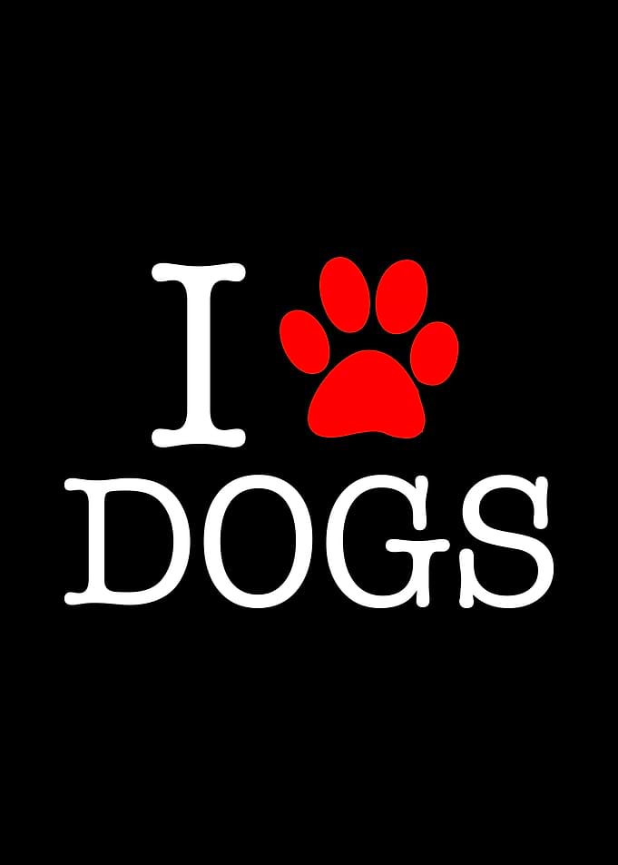 I Love Dogs