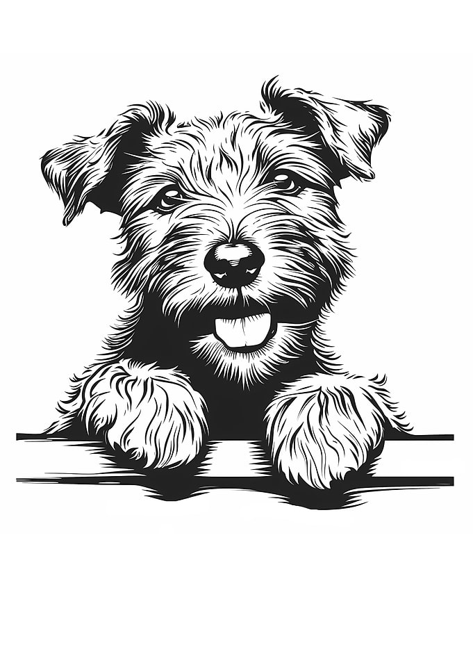 Black and White Wire Fox Terrier Illustration