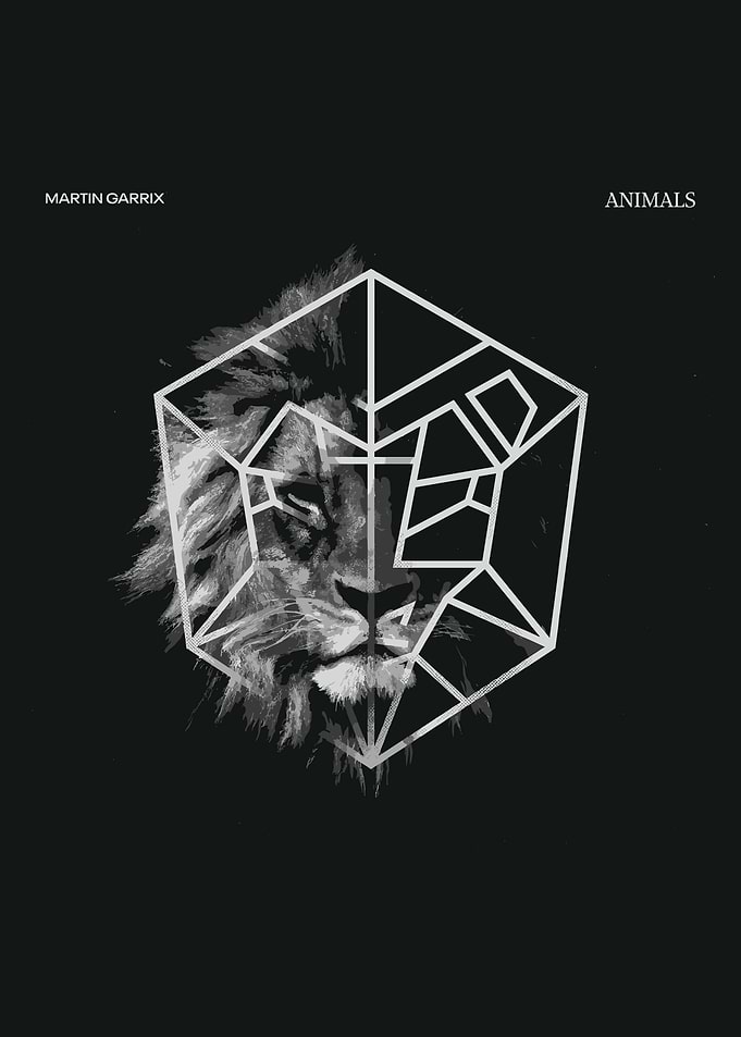 Martin Garrix Animals