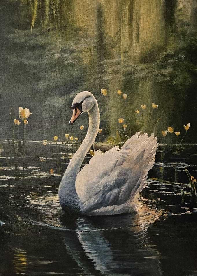 Elegant White Swan on Dark Pond