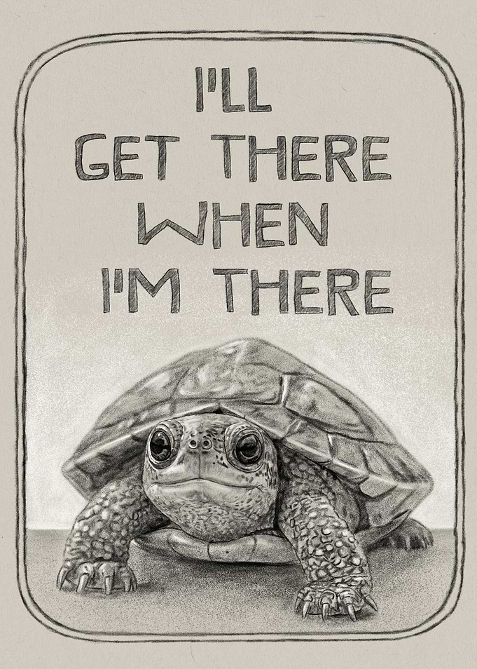 I'll Get There When I'm There Turtle
