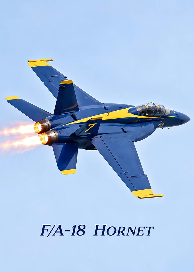 Blue Angels F/A-18 Hornet Jet