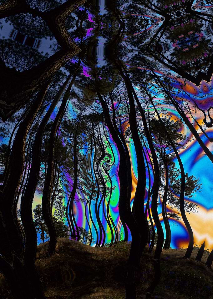 Psychedelic Forest