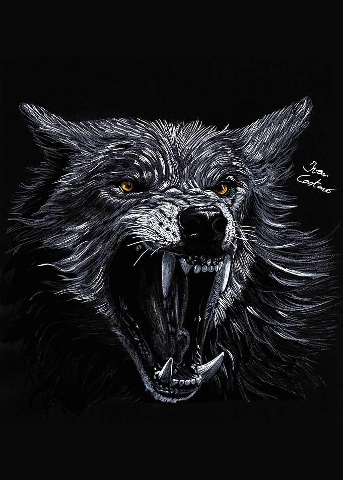 Fierce Snarling Wolf Portrait