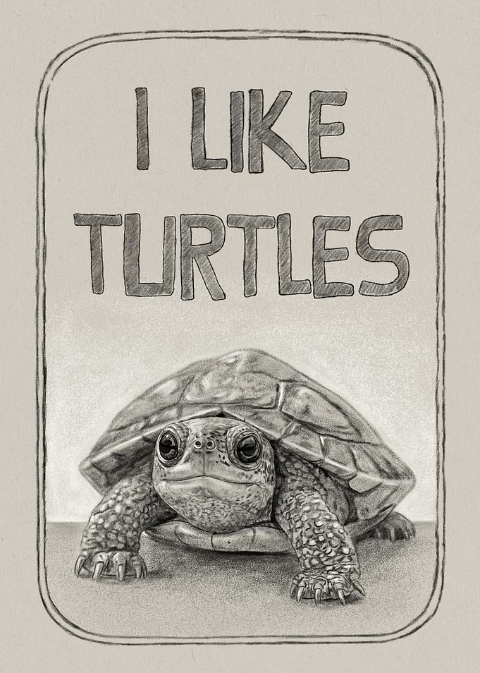 I Like Turtles Pencil Drawing