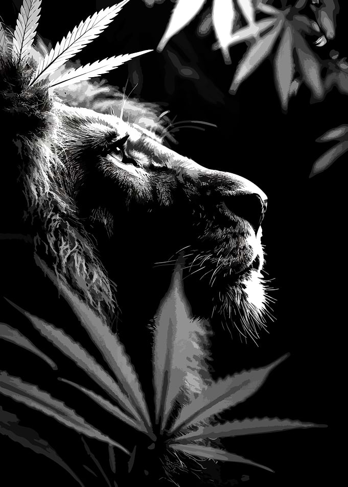 Lion Profile with Cannabis Leaves